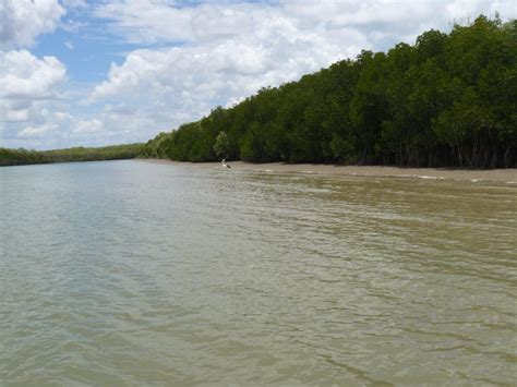 Understanding biodiversity in water resource assessments in northern ...