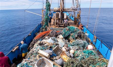 Enormous Ocean Cleanup Project Recovers Over 100 Tons Of Plastic Waste ...