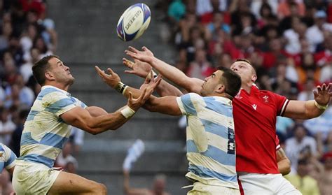 The Pumas Face Wales in Intense Quarterfinal Match at Rugby World Cup ...