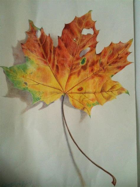 How To Draw A Leaf Realistic at How To Draw