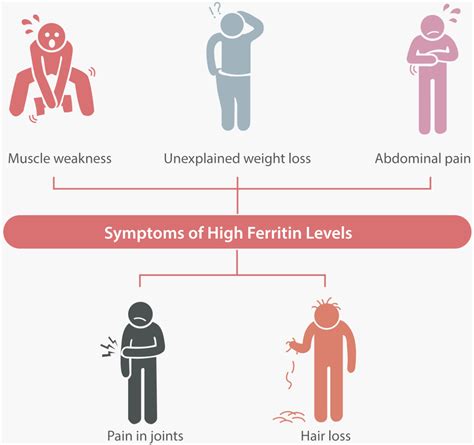 CLIABook Issue 1 Chapter 3: How ferritin is connected with COVID-19 ...