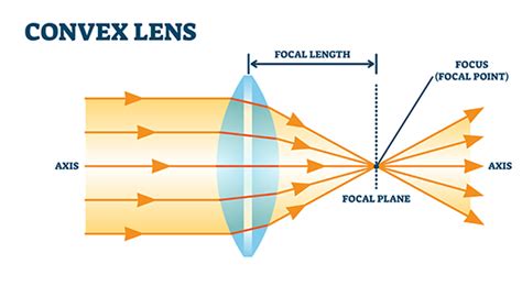 Lensmaker S Equation For Plano Convex Lens - Tessshebaylo