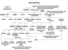 herod the great family tree - Google Search | Bible stuff | Bible ...