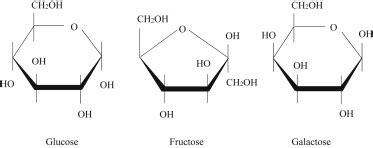 Fructose, galactose and glucose – In health and disease - Clinical ...