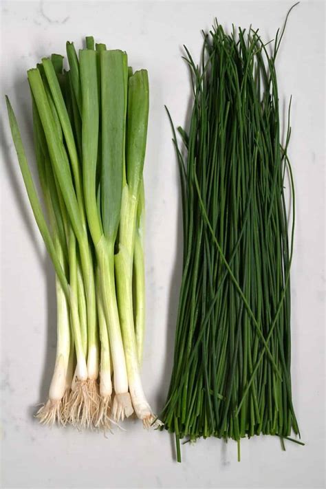 Chives Vs Green Onions: What's the Difference? - Alphafoodie