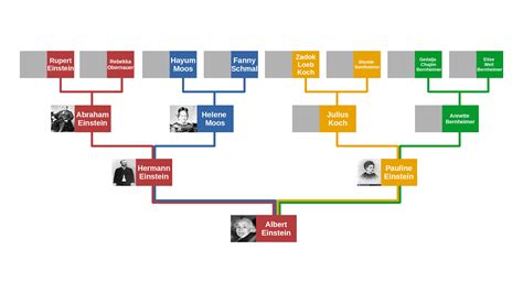 Albert Einstein family : r/UsefulCharts