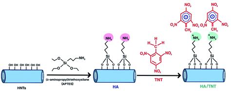 Trinitrotoluene Synthesis