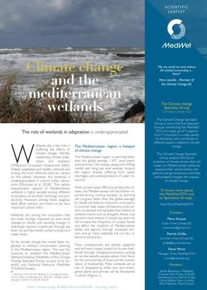 The role of wetlands in climate change adaptation is under appreciated ...