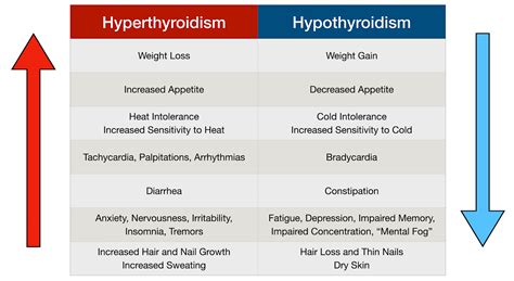 An Overview of Thyroid Hormone Function — Six Foot Science