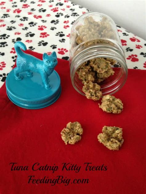 22 Woofalicious Homemade Pet Treat Recipes your Pet will give a 4-PAWS ...