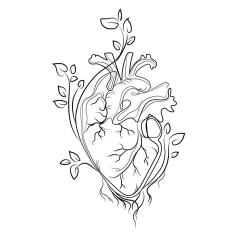 Anatomical human heart from which branches and leaves of trees grow ...