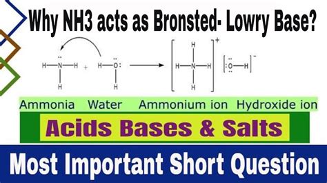 Why NH3 acts as Bronsted- Lowry Base | Bronsted Lowry Acid Base ...