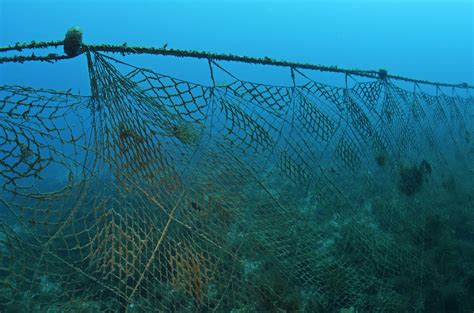 New biodegradable nets could contribute to solving ghost fishing - LifeGate