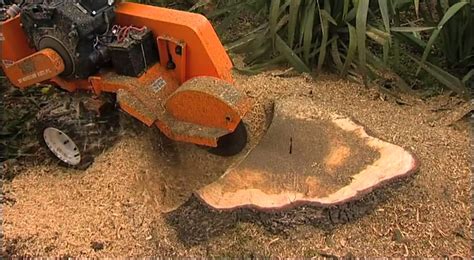 Stump Humper Stump Grinder - YouTube