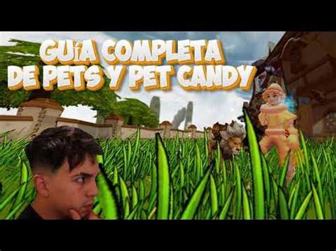 FLYFF UNIVERSE | PETS Y PET CANDY GUÍA COMPLETA - YouTube