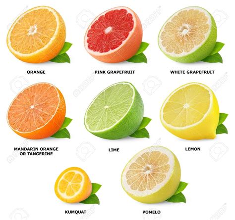 Collection of citrus fruits isolated on white Stock Photo - 16162266 ...