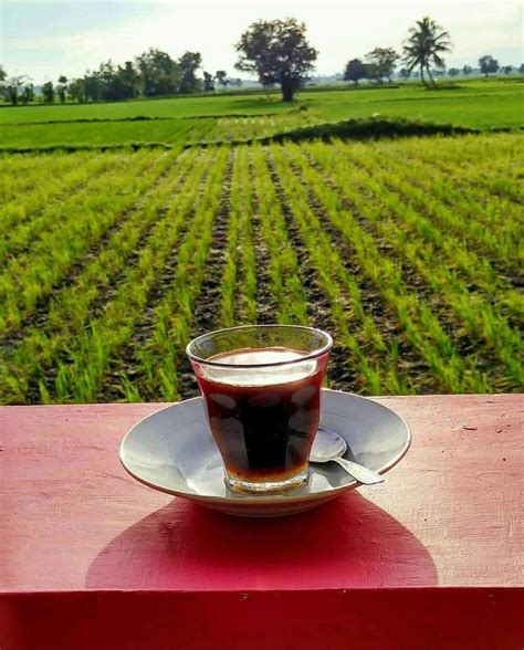 Apakah Baik Minum Kopi Di Pagi Hari - Bagi Hal Baik