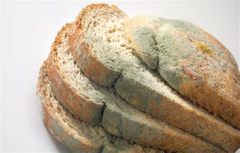 Fungus on bread stock photo. Image of texture, health - 9754394