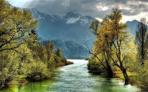 Trees on the Riversides, Water, Nature, River, Trees HD wallpaper | Pxfuel