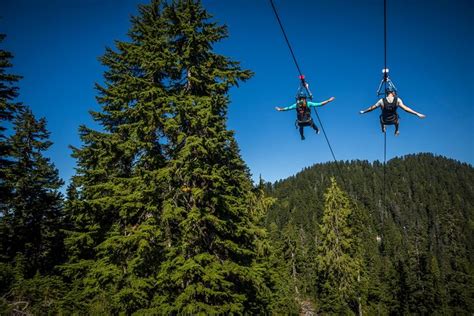 Grouse Mountain Zipline Adventure: Triphobo