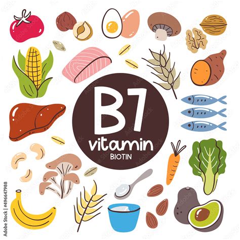 Food products with high levels of Vitamin B7 (Biotin). Cooking ...