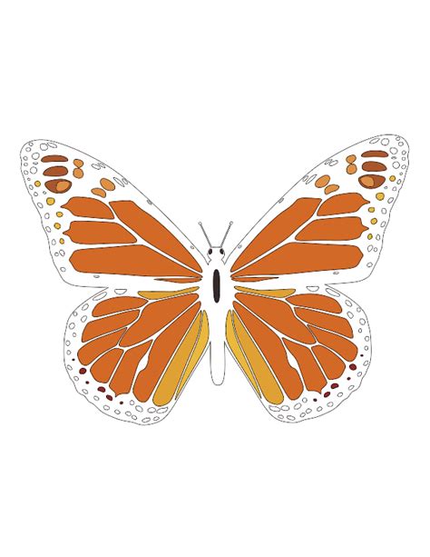 Monarch butterfly vector | CRAFTSMANSPACE