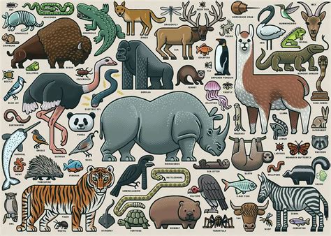 You Wild Animal | Adult Puzzles | Jigsaw Puzzles | Products | You Wild ...