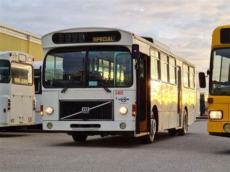 1981 Volvo B10M - HJD001 - Shannons Club