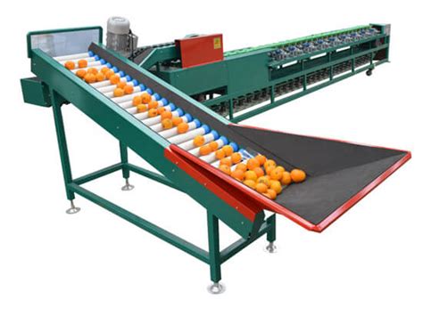 High Quality Automatic Fruit And Vegetable Sorting Machine, China Fruit ...