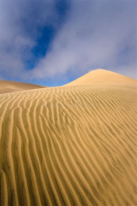 Namib Desert - Skeleton Coast Stock Photo - Image of skeleton, namib ...