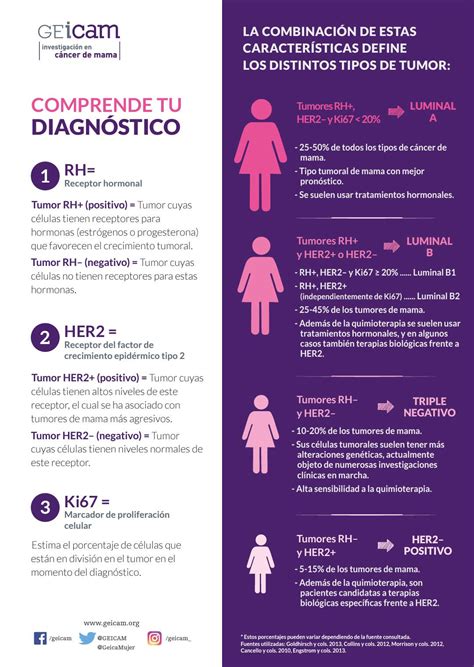 Tipos de tumores de mama | GEICAM - Investigación en cáncer de mama