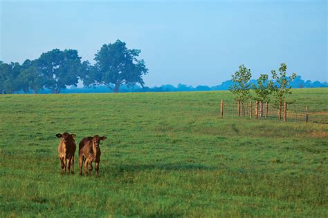 Texas Land Magazine Report | Gates Ranch