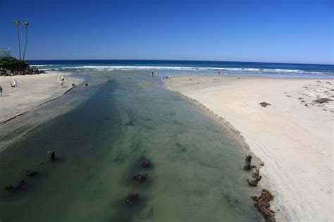 Del Mar Dog Beach – North Beach, Del Mar, CA - California Beaches