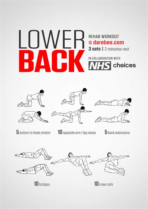 5 Day Lower Back Workout No Equipment for Beginner | Fitness and ...