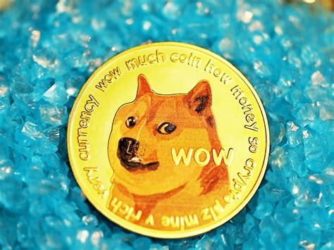 Shiba Inu Coin Price Prediction 2024 - Selie Allianora