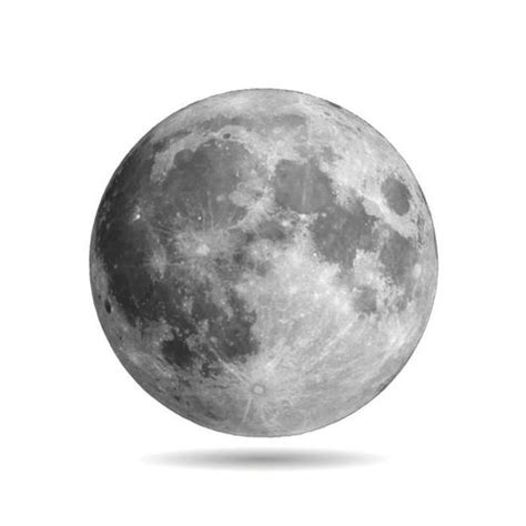 Realistic Full Moon Wall Decal | Realistic moon tattoo, Moon drawing ...