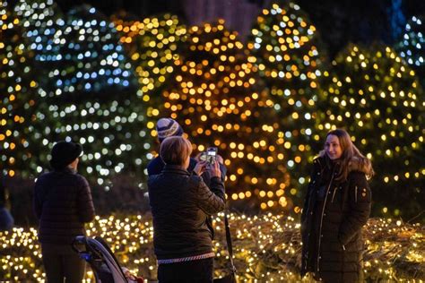 In Pictures: Stockbridge Main Street's dazzling holiday lights in ...