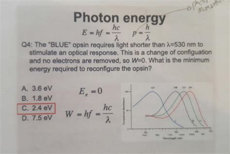 Solved E = hf = hc/lambda p = h/lambda The "BLUE" opsin | Chegg.com