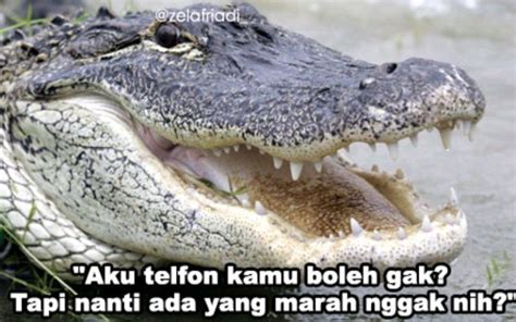 Meme Buaya Darat - Meme Ngakak Lucu