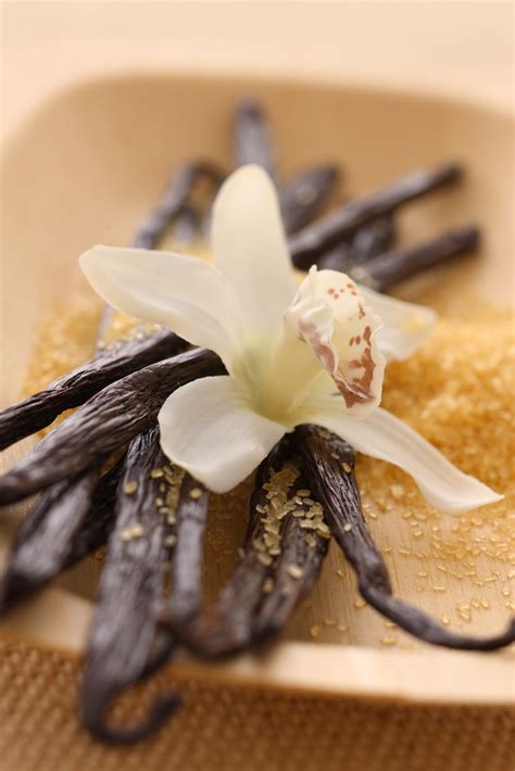 Why is Vanilla Added to Recipes?