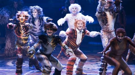 Cats Film Due Out In 2019 | Cat movie, Jellicle cats, Cats musical