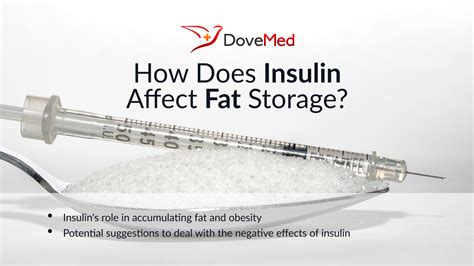 How Does Insulin Affect Fat Storage?