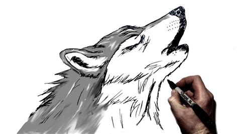 Werewolf Howling Drawing