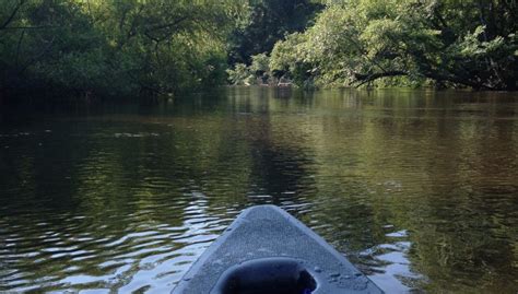 Edisto River Treehouses (Canadys, SC): What to Know BEFORE You Bring ...