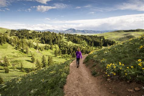 Best hikes in Bozeman - Lonely Planet