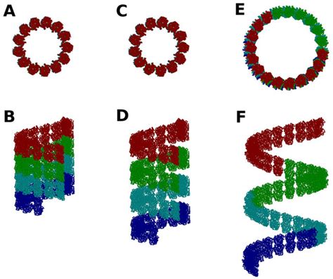 Tubulin assembly structures consisting of 50 tubulin heterodimers to ...