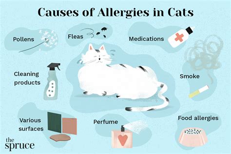 Allergies in Cats