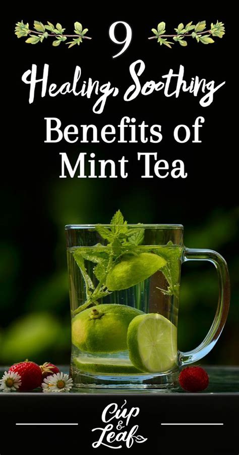 9 Peppermint Tea Benefits +Healthy Skin, Hair, and More - Cup & Leaf ...