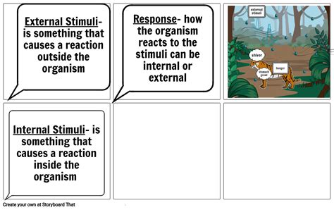 Stimuli and Response Project Storyboard by e5e21285