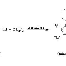 Reaction of o-dianisidine and hydrogen peroxide with peroxidase ...